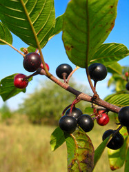 Similar image 1656128