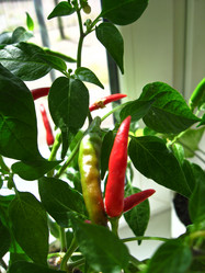 Similar image 1656131