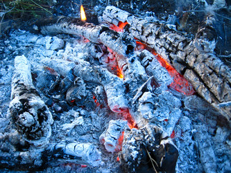 Similar image 1656136