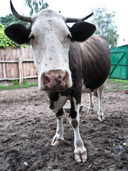 Similar image 1656138