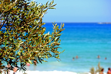 Similar image 1656168