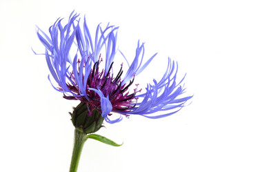 Similar image 1656178