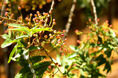 Similar image 1656183