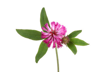 Similar image 1656194