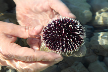 Similar image 1656197