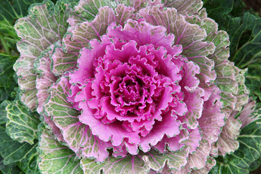 Similar image 1656199