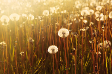 Similar image 1656202