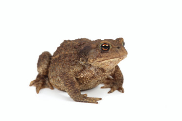 Similar image 1656207