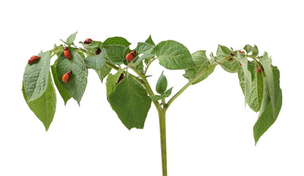 Similar image 1656208