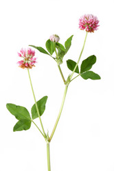 Similar image 1656209