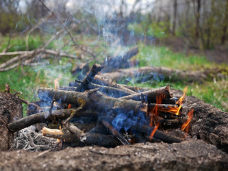 Similar image 1656210