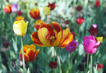 Similar image 1656211