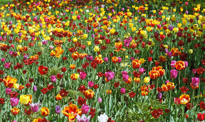 Similar image 1656213