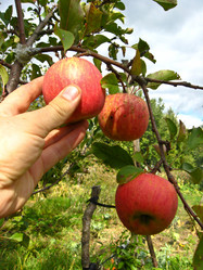 Similar image 1656214