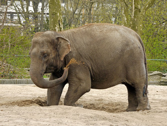 Similar image 1656216