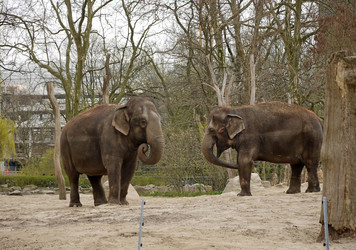 Similar image 1656217