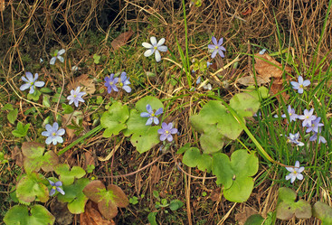 Similar image 1656222