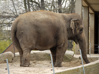 Similar image 1656223