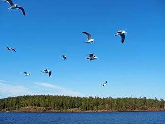 Similar image 1656224