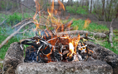 Similar image 1656225