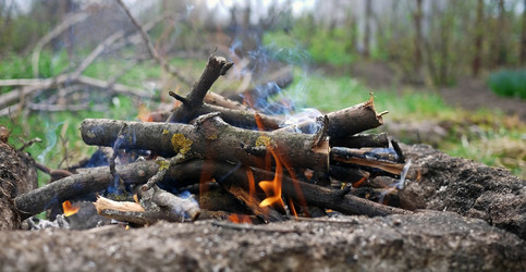 Similar image 1656226