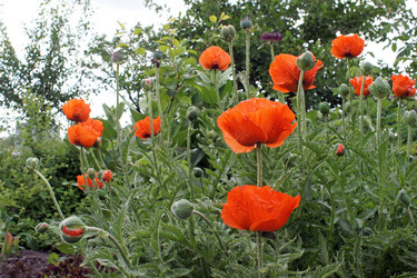 Similar image 1656227