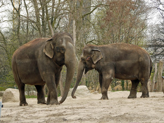 Similar image 1656231