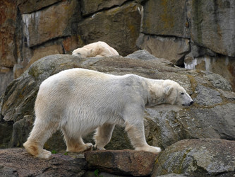 Similar image 1656232