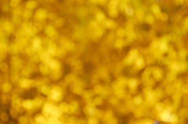 Similar image 1656293