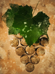 Similar image 1656307