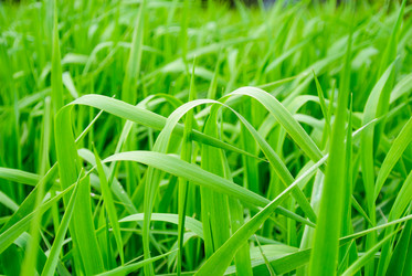 Similar image 1656334