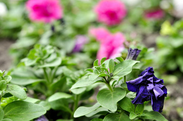 Similar image 1656337