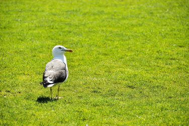 Similar image 1656338