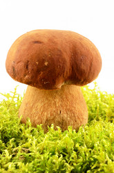 Similar image 1656346