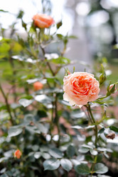 Similar image 1656354