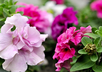 Similar image 1656365