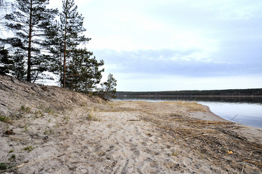 Similar image 1656367