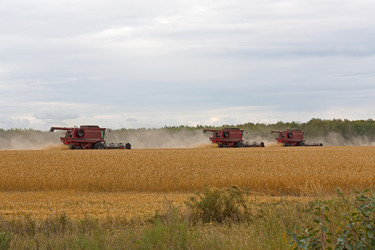 Similar image 1656375