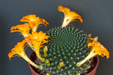 Similar image 1656376