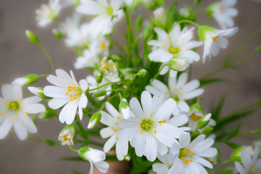 Similar image 1656394