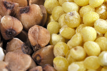 Similar image 1656397