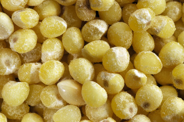 Similar image 1656404