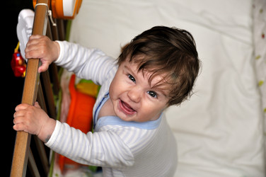 Similar image 1656479