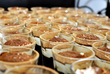 Similar image 1656481