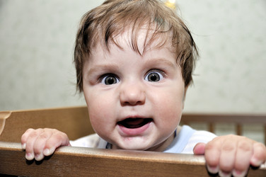 Similar image 1656482