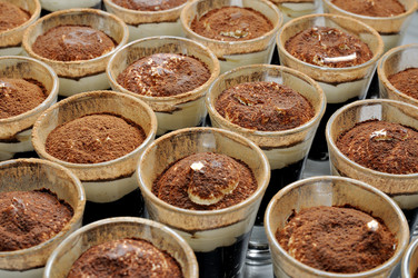 Similar image 1656484