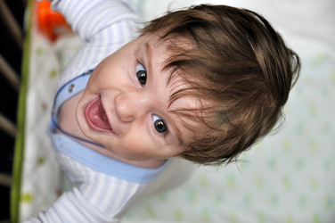 Similar image 1656486