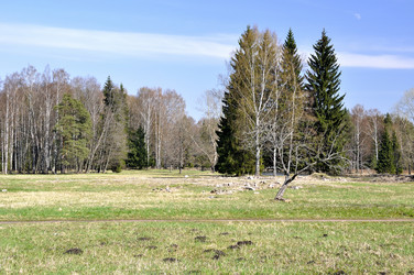 Similar image 1656491