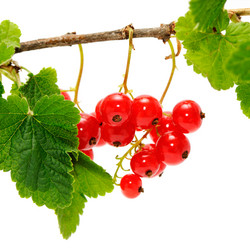 Similar image 1656534