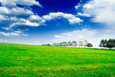 Similar image 1656540